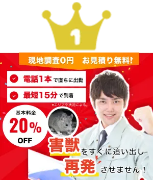 街角害獣駆除相談所