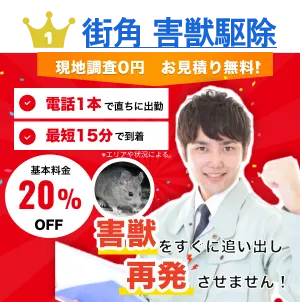 ポップアップ 街角害獣駆除